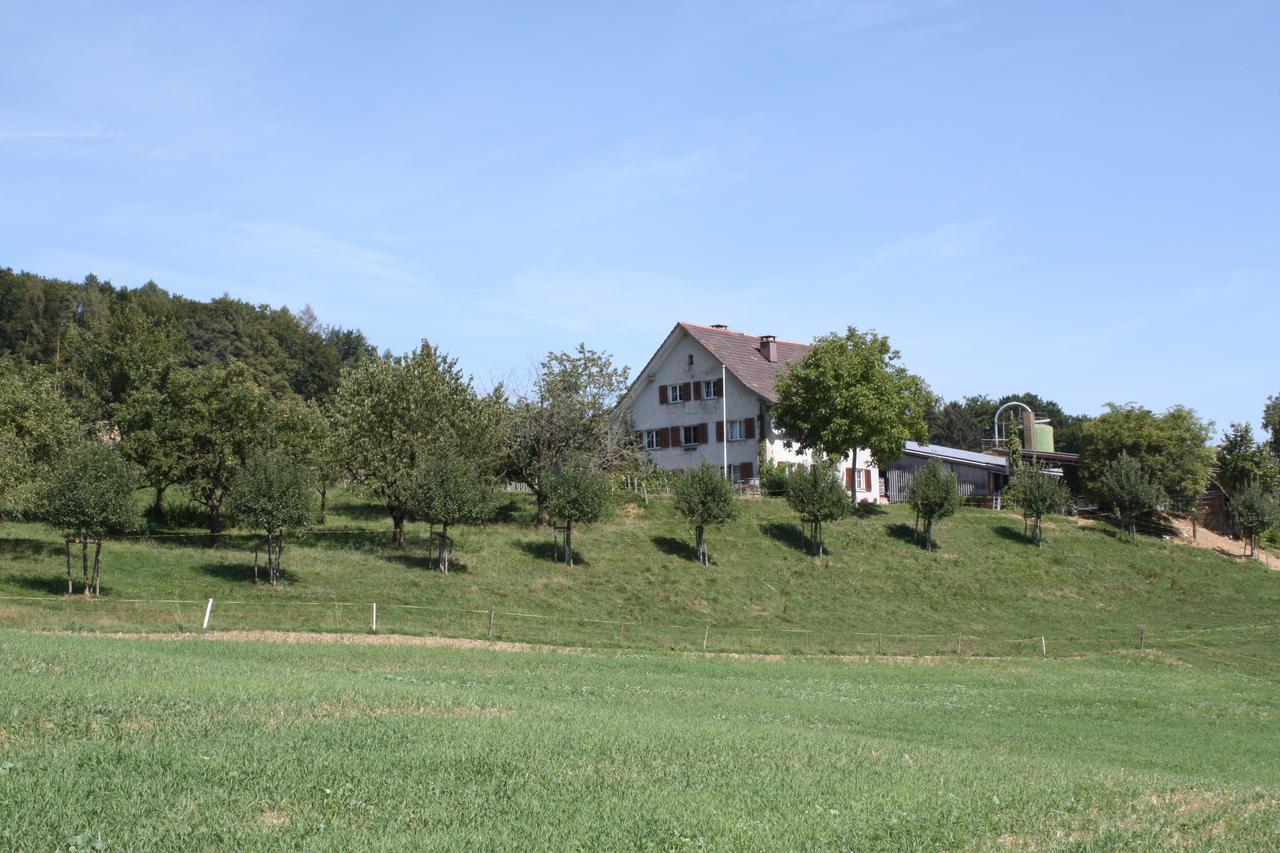 Bnb Im Waldhof Bachenbulach Ngoại thất bức ảnh